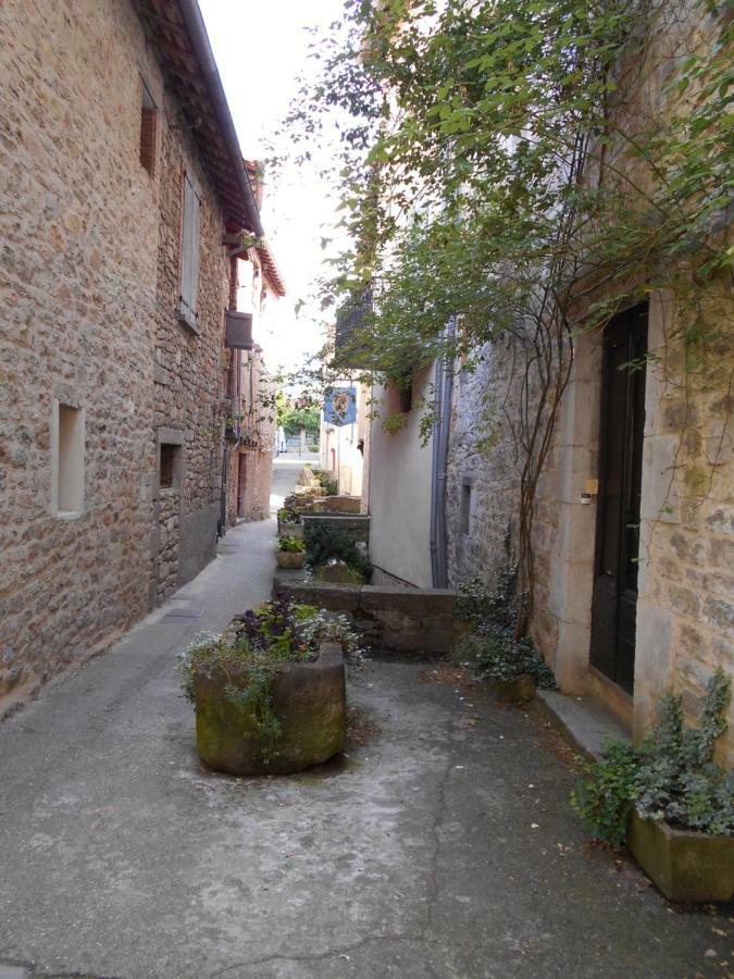 7 Rue Droite Saint-Antonin Exterior foto