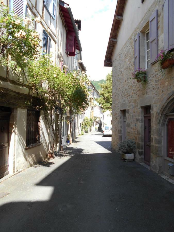 7 Rue Droite Saint-Antonin Exterior foto